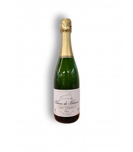 Vin mousseux Blanc de Blanc méthode traditionnelle Brut 75CL