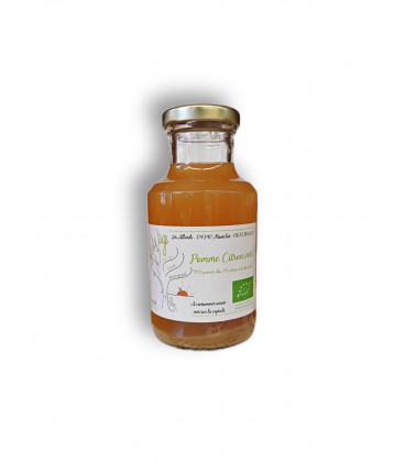 Jus de pomme citron vert 25cl